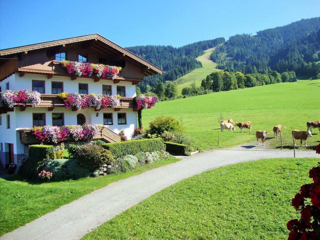 Sixenhof Apartment Niederau Exterior foto