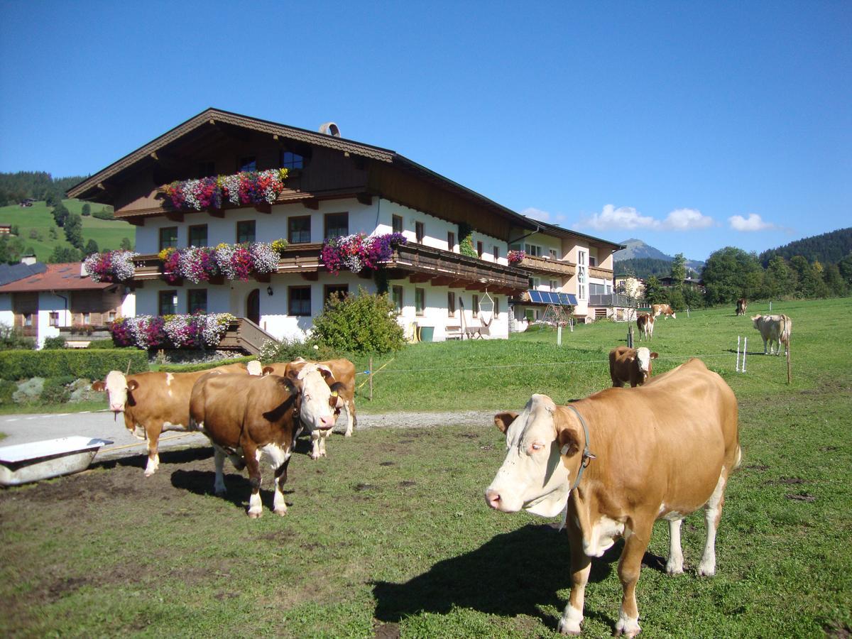 Sixenhof Apartment Niederau Exterior foto