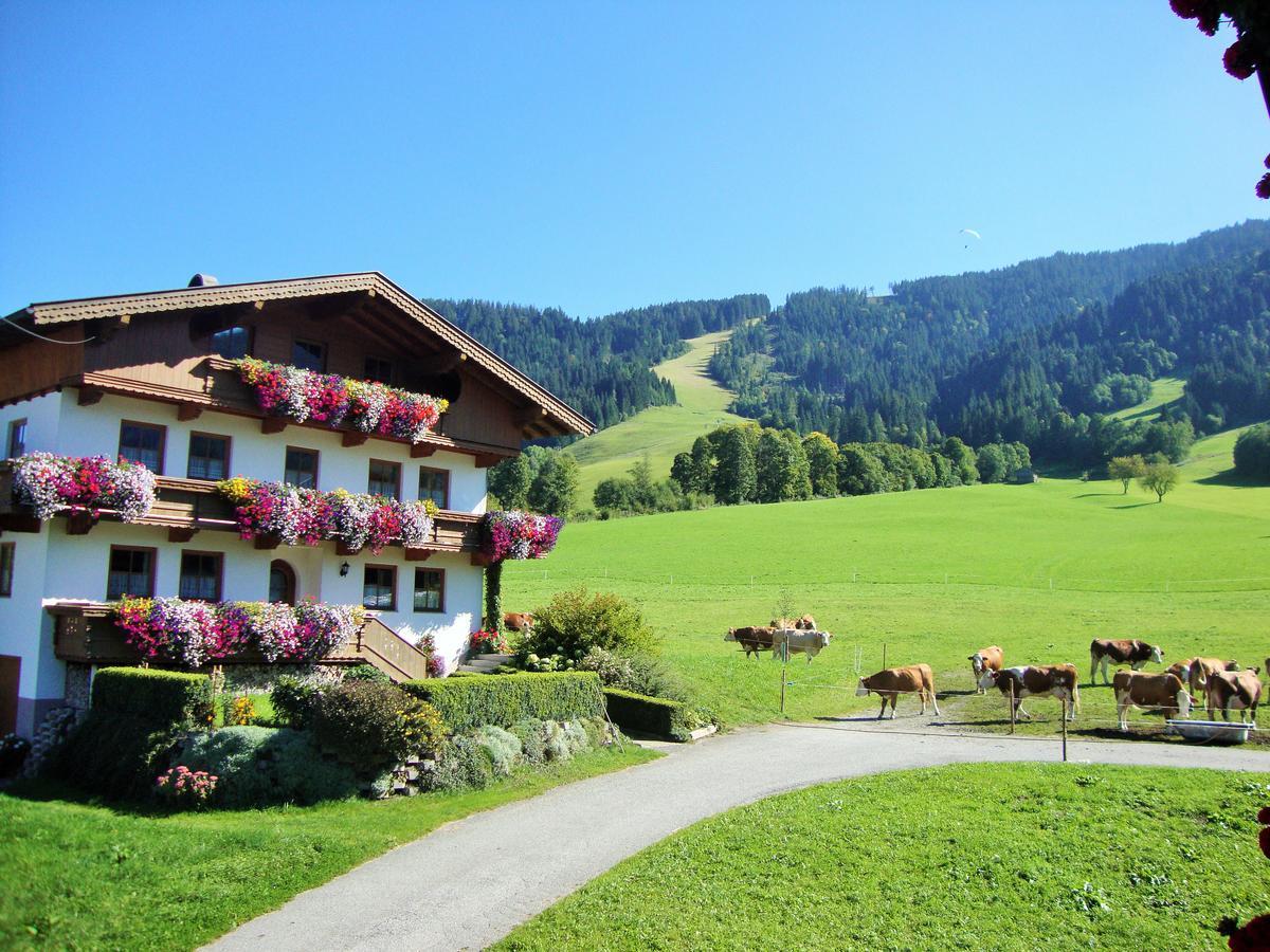 Sixenhof Apartment Niederau Exterior foto